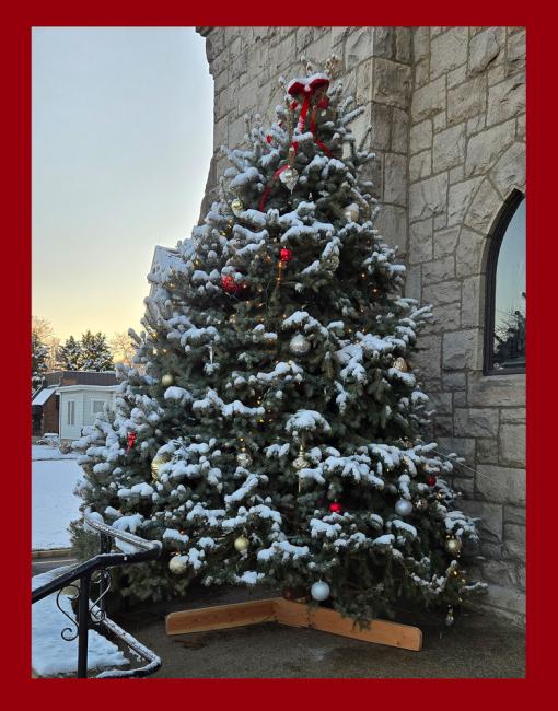 Christmas Tree - 20241225.jpg